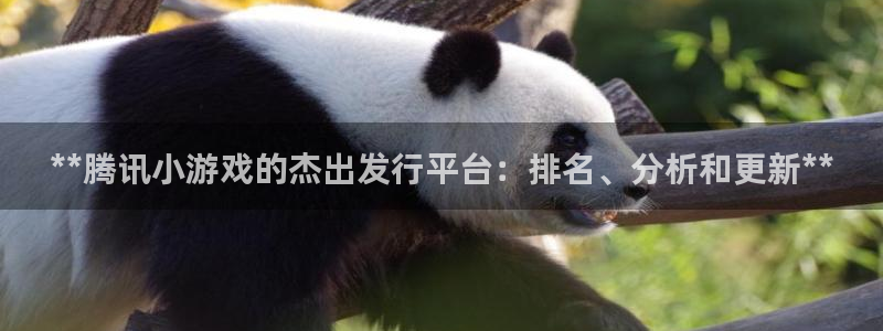 新城平台注册资金多少钱