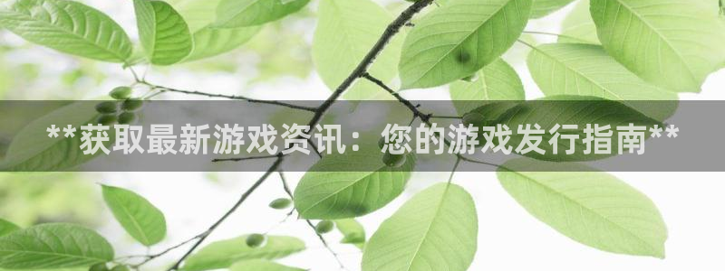 新城平台官网首页网址
