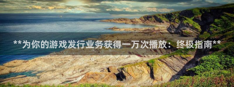 新城平台是干嘛的公司