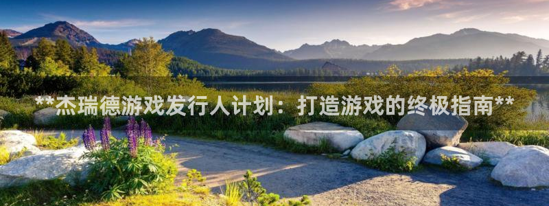 新城平台注册登录地址