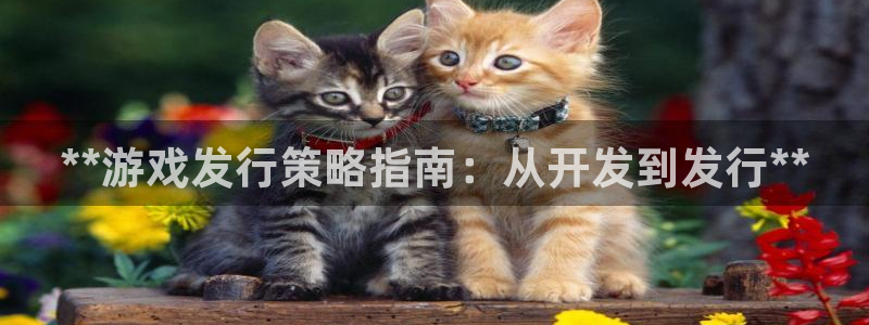 新城平台将7O777