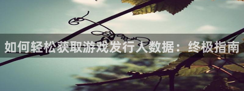 新城平台是干嘛的公司啊
