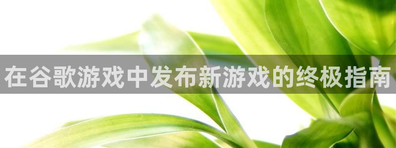 新城平台线路登录不上去怎么回事儿