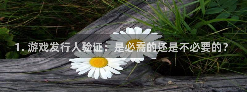 新城平台登录入口官网网址查询