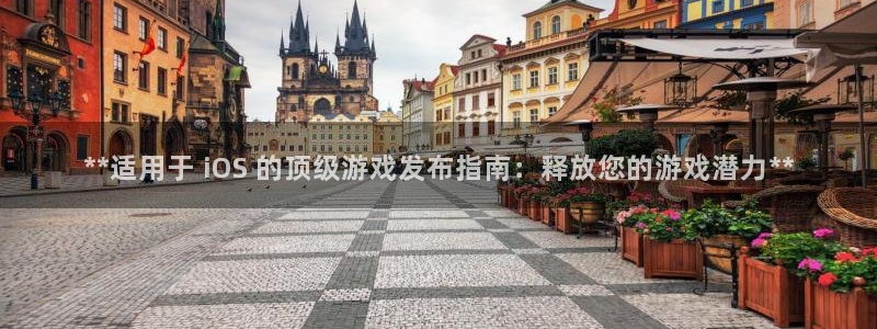 新城平台注册网址是什么