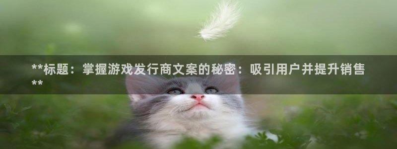 新城平台登录入口网站