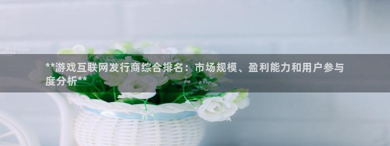 新城平台注册资金多少
