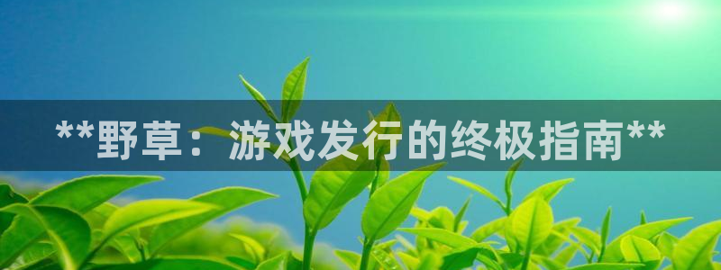 新城平台负责人是谁