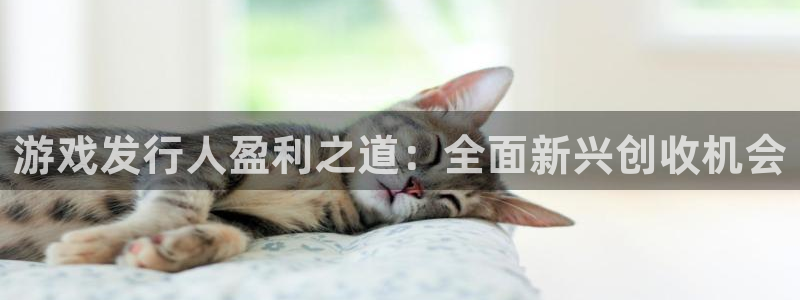 新城平台登录入口官网查询