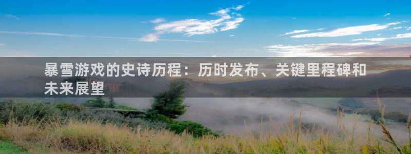 新城平台登录入口官网