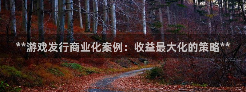 新城平台负责人