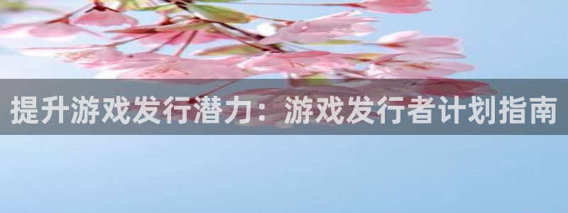 新城平台注册公司流程及费用