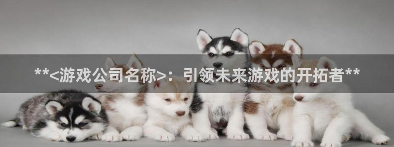 新城平台官网首页网址