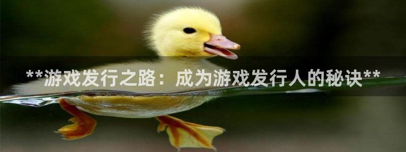新城平台注册登录地址是什么