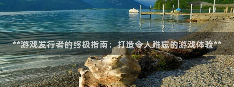 新城平台线路登录不上去怎么办