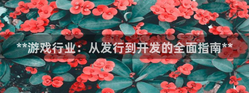 新城平台登录入口官网网址查询