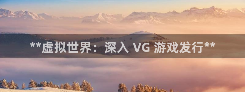 新城平台注册公司流程及费用