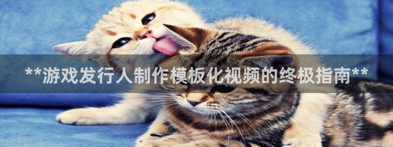 新城平台注册流程视频