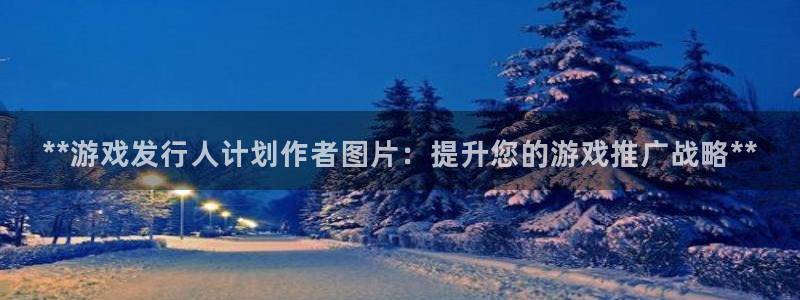 新城平台公司