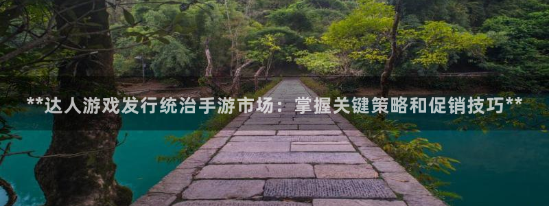 新城平台注册