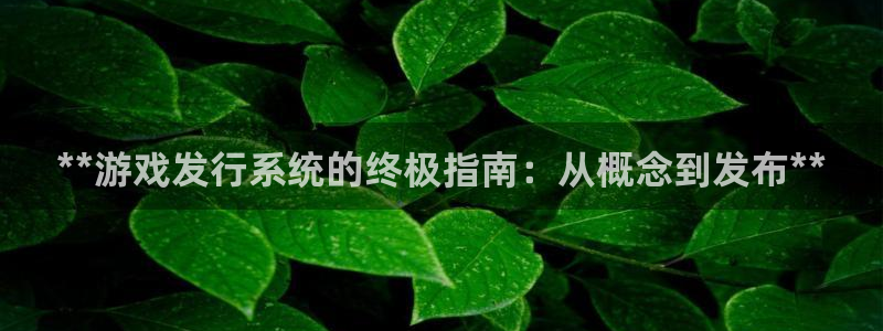 新城平台负责人电话