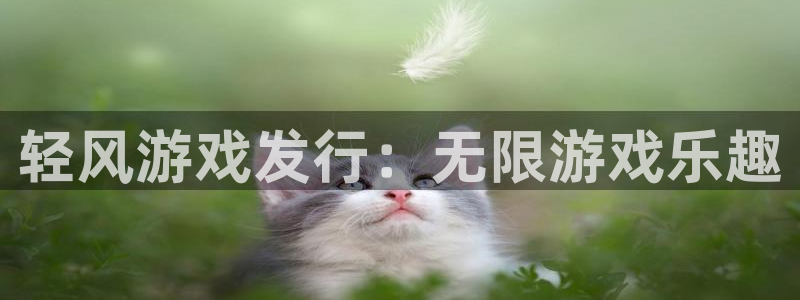 新城平台负责人是谁