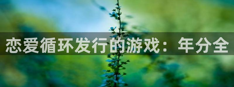 新城平台分分彩