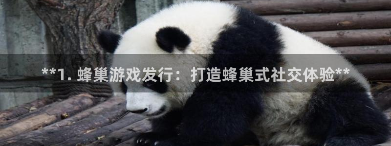 新城平台登录入口官网网址是什么：**1. 蜂巢游戏发行：打造蜂巢式社交体验**