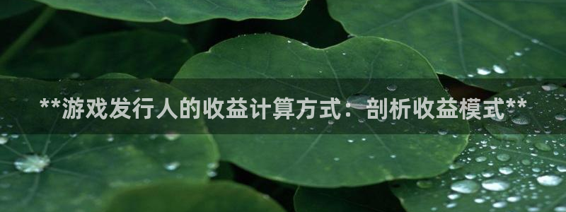 新城平台注册资金多少：**游戏发行人的收益计算方式：剖析收益模式**
