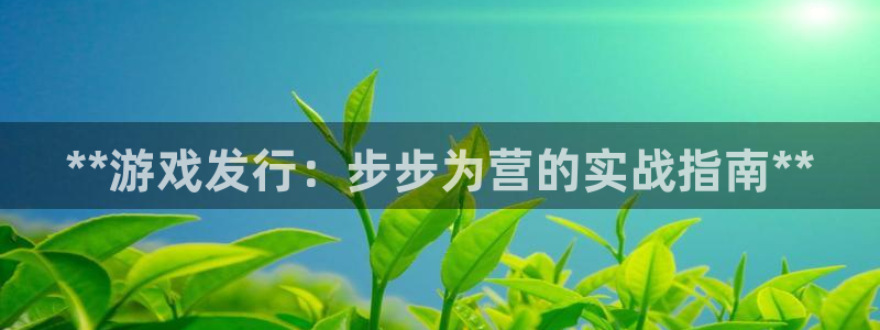 新城平台是干嘛的：**游戏发行：步步为营的实战指南**