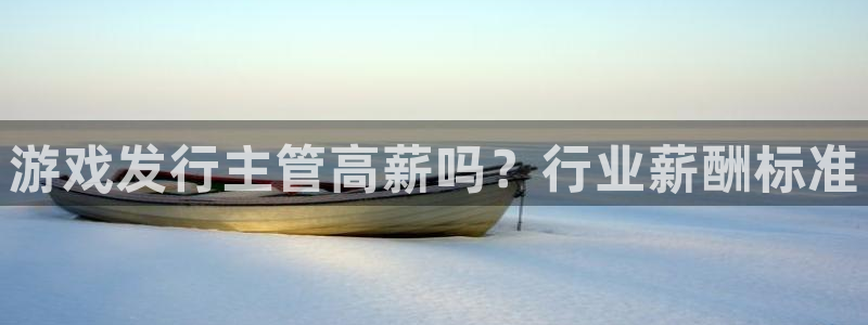 新城平台登录入口官网网址查询：游戏发行主管高薪吗？行业薪酬标准