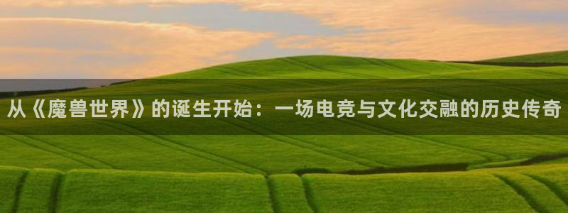新城平台登录入口官网下载