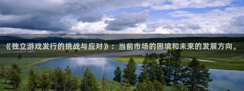 新城平台线路登录不上去了怎么回事
