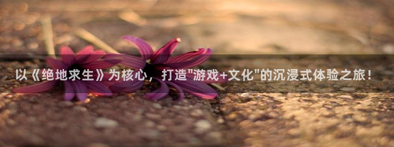 新城平台招商