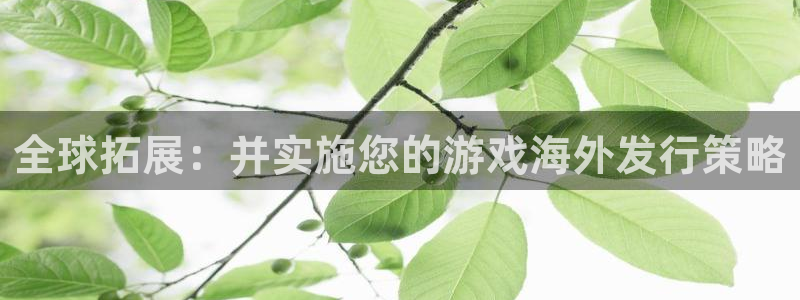 新城平台官网注册账号