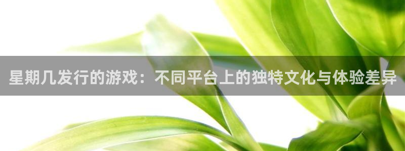 新城平台注册网址