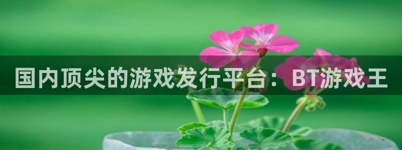 新城平台注册登录地址是什么
