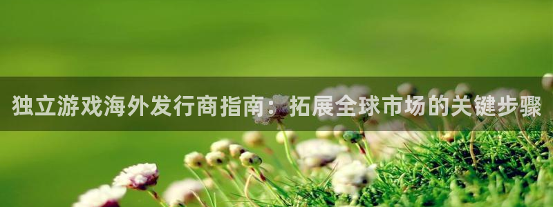 新城平台线路登录不上去怎么办呀：独立游戏海外发行商指南：拓展全球市场的关键步骤