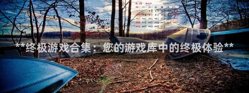 新城平台总代理是谁