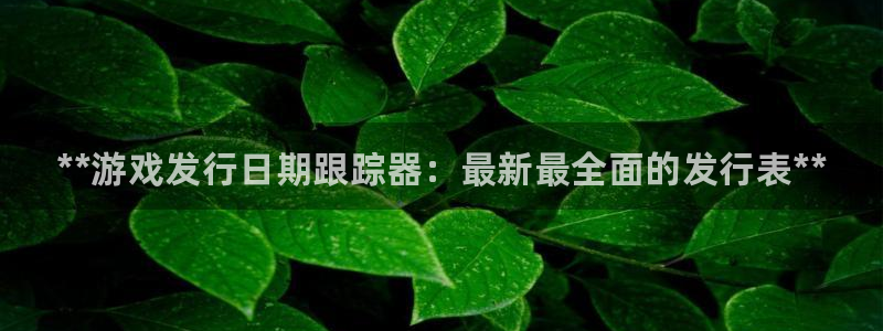 新城平台注册流程及费用：**游戏发行日期跟踪器：最新最全面的发行表**