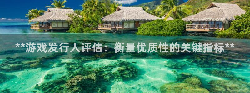 新城平台游戏：**游戏发行人评估：衡量优质性的关键指标**